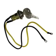 Ignition Switch fits Massey Ferguson Colt Mustang Pony TE20 TO20 TO30 TO35 35 65