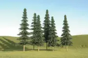 Bachmann HO Spruce Trees SceneScapes 5 to 6in pkg(6) 32004