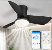Ceiling Fan with Light 30 Inch Low Profile Remote Control APP Dimmable 6 Speeds