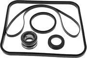 BESPORTBLE 1 Set Pool Pump Ring Seal Rings Rubber Sealing Rings Pump Ring Swimming Pools Pump Part