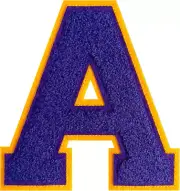 Chenille Letter Patches Purple Varsity Letter Patch 4-1/2" Iron on Letters for C