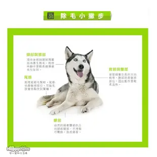 【美國FURminator】 神效專利去毛梳-短毛小型犬FUR-011 毛貓寵