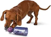 PetSafe Busy Buddy Tug-A-Jug Dog Toy – Slow Feeder and Trainer – Small