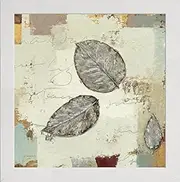 Frame Company Watson Range Silver Leaves IV by Mark Wiens, Frame - 8 x 8 Inches, White