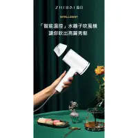 在飛比找蝦皮購物優惠-ZHIBAI 直白 HL350 智能溫控水離子吹風機