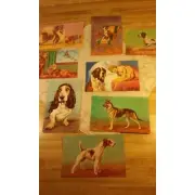 Vintage Lewis Larsen Dogs Series Postcards Set of 8 Unposted