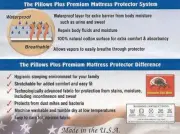 Platinum Anti-Bedbug Surround Zippered Rollaway Mattress Protector