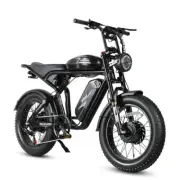 20" Electric Bicycle 2000W Fat Tire Motocycle Desert Sand Beach Snow Road E-Bike