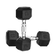 15lbs x 2 Hex Rubber Coat Iron Dumbell Strength Weight Training Commercial Grade