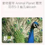 動物星球 霓裳羽衣 藍孔雀ICASH2.0