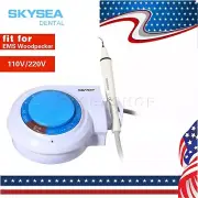 Dental Scaler ultrasonic tooth cleaner fit EMS Cavitron + Handpiece + 5*Tips USA