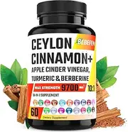 BEBEFEN Ceylon Cinnamon Apple Cider Vinegar Turmeric Ginseng Berberine Plus Bitter Melon Gymnema Milk Thistle Fenugreek - 60 Capsules
