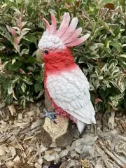 AUSTRALIAN MAJOR MITCHEL BIRD ON A BRANCH ANIMAL GARDEN STATUE ORNAMENT GIFT