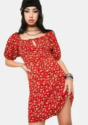 Scarlet Frolic With Me Floral Dress