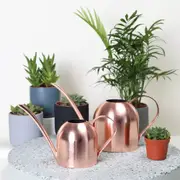 Mini Stainless Steel Watering Can Plants Watering Pot 500ML Spout for Garden(Red)