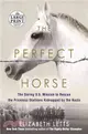 The Perfect Horse ─ The Daring U.S. Mission to Rescue the Priceless Stallions Kidnapped by the Nazis
