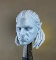 Custom HALSIN Head (Baldur's Gate 3) 8k Resin Print 4" 6" 7" 12" Scale