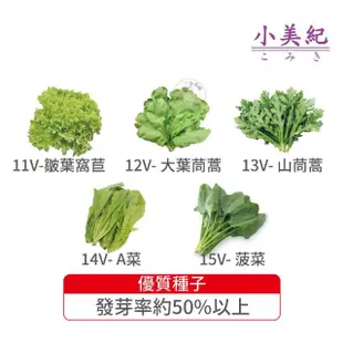 【小美紀】高優質 種子(窩苣 茼蒿 A菜 菠菜 菜苗 土壤種植 蔬菜 盆栽 種子 介質)