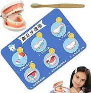 Teeth Brushing Toy For Kids, Brushing Model Toy, Kids Teeth Model With Toothbrush, Brushing Teaching Girls, Teeth Model Toy For Kids, Children’s Toothbrushing Toy, Educational Teeth Mode