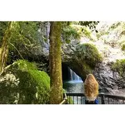 Save 10.00%! Deluxe Tamborine, Springbrook, Skywalk, Glow Worm Cave