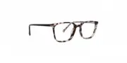 NEW Vera Bradley MAISIE PRAIRIE PAISLEY PRAIRIE PAISLEY Eyeglasses