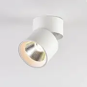 LED Flush Mount Ceiling Spot Light 10W 3000K Warm White Adjustable Tilt Angle Ceiling Light Fixture Indoor White Finish for Picture Art Wall Shop