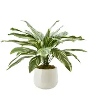Creative Displays Farmhouse Plant
