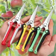Pruner Gardening Hand Pruning Shear Straight Stainless Steel Blades Ultra Sharp