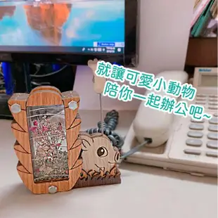 【木頭方程式】動物造型存錢筒(DIY 存錢筒 多款 禮物 小孩 辦公室 多功能)