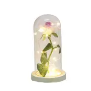 NNEOBA "Enchanting Beauty And The Beast LED Glass Dome Forever Rose - Multicolor USB Powered