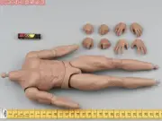 Body & Hands for HHMODEL HAOYUTOYS HH18051 Thirteen Legion Centurion 1/6th Scale