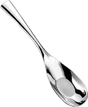 DIDILLX Large Capacity Serving Spoon Luxurious 316L Stainless Steel Buffets Serving Spoon Utensils with Glasses Finish