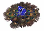 Krishna Janmashtami Kanha/Laddugopal ji Feather Dress Poshak with Mukut Size - 5
