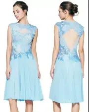 Tadashi Shoji Ines Cadet Blue Illusion Lace Open Back Chiffon Dress