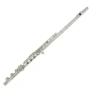 17 Closed Hole C Tone E Key Flute Musical Instrument Nickel Plated Cupronickel