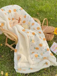 在飛比找樂天市場購物網優惠-加厚珊瑚绒毛毯小毯子办公室午睡毯春秋法兰牛奶绒空调毯沙发盖毯
