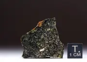 NWA 16051 - 2,62g - martian shergottite - Meteorite