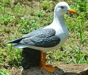 Euiroet Real Seagull Outdoor Sculpture,Garden Bird Statue,Beach Statue Decor,Resin Animal Seabird Ornaments,Coastal Beach Decor,Patio Decor for Outdoor Table Decorfor Garden,Terrace,Lawn,Yard