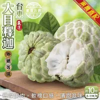 在飛比找Yahoo奇摩購物中心優惠-【果農直配】台東大目釋迦10斤(10-12顆)