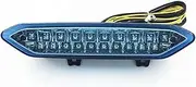 Motorcycle Indicators Turning For Y&amaha YZF R1 YZFR1 2002 2003 Motorcycle Rear Taillight Tail Brake Turn Signals Integrated Led Light Lamp Running