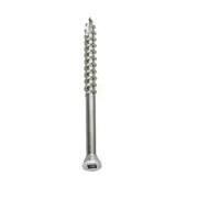 Simpson Strong-Tie S07225FT1WH01 Deck Screw, NO #7 x 2-1/4", 305 Stainless Steel
