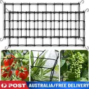 10 Size Elastic Scrog Trellis Net with Hooks Plant Support Netting for Grow Tent