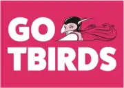 ADELAIDE THUNDERBIRDS CHAMPION NETBALL TEAM POSTER,FREE POST, BRGN,3