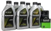 2010 Kawasaki VULCAN 1700 NOMAD Full Synthetic Oil Change Kit
