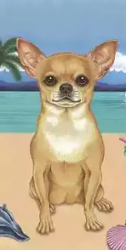 Chihuahua Tan Summer Fun Beach Towel