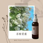 VITAL MARK 澳洲天然精油原料品牌 茶樹菁露 肌膚調理 化妝水噴霧100ML