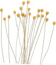 20pcs Diffuser Reeds Sticks Refill Flowers Essential Oil Diffuser Sticks for Home Spa