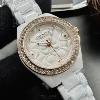 在飛比找momo購物網優惠-【COACH】COACH手錶型號CH00193(白色錶面白錶