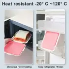 Hinged Sandwich Container Sustainable Lunch Box Bpa-free Reusable for Office