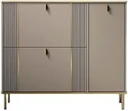 Freestanding Large Shoe Cabinet for Up to 20 Pairs of Shoes, Shoe Organizer with 1 Door and 2 Flip-Out Drawers, for Hallways, Entrance Halls Shoe Cupboard